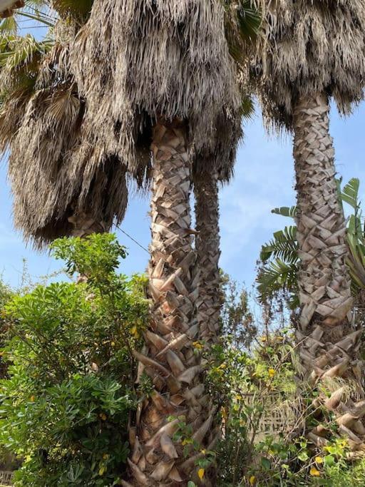 Casa De Campo En Playa Dosel 2 Mareny de San Lorenzo Dış mekan fotoğraf